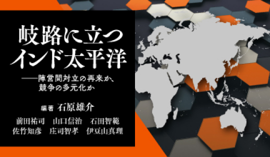 NIDSパースペクティブ