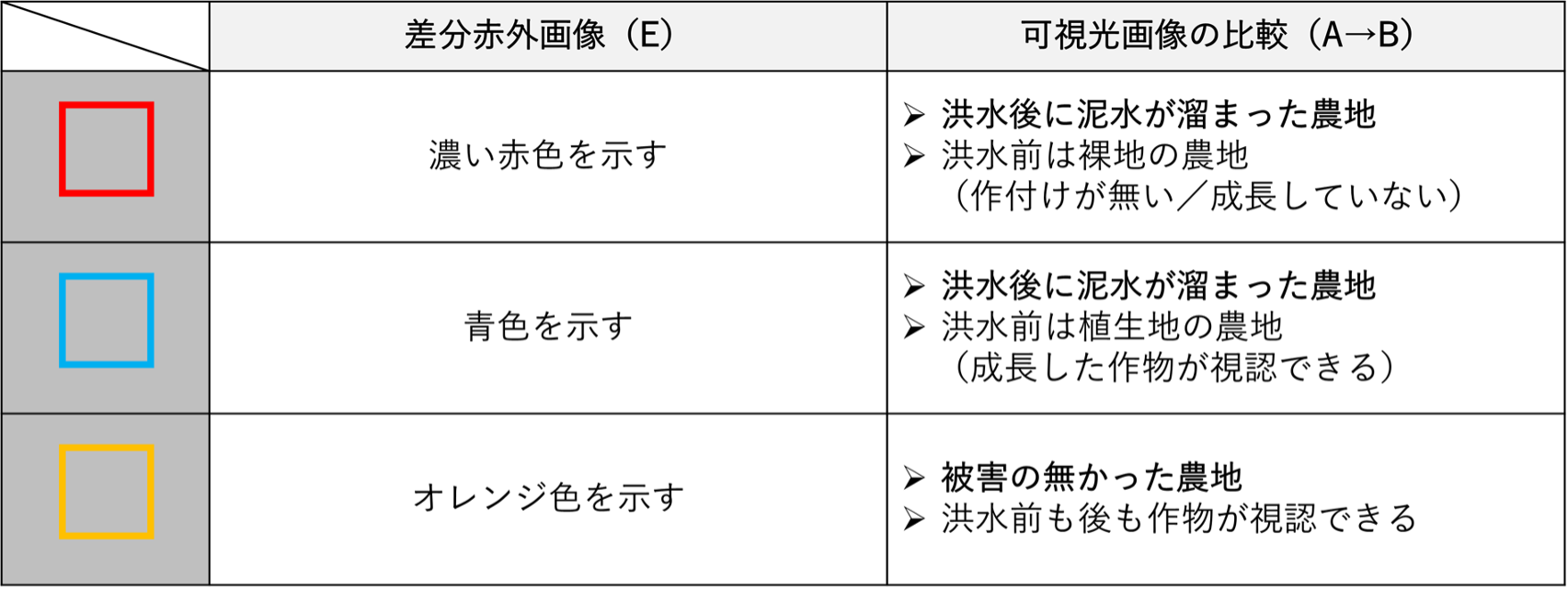 表1判読の結果